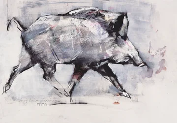 Jonge everzwijn, Bialowieza, Polen